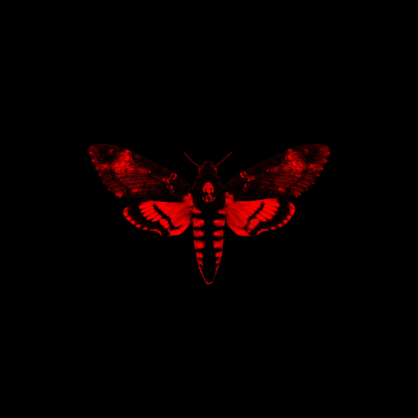 I Am Not a Human Being II