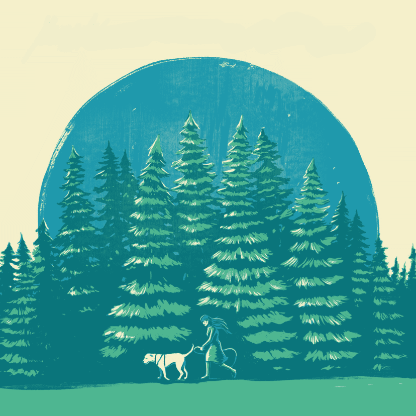 Among The Evergreens