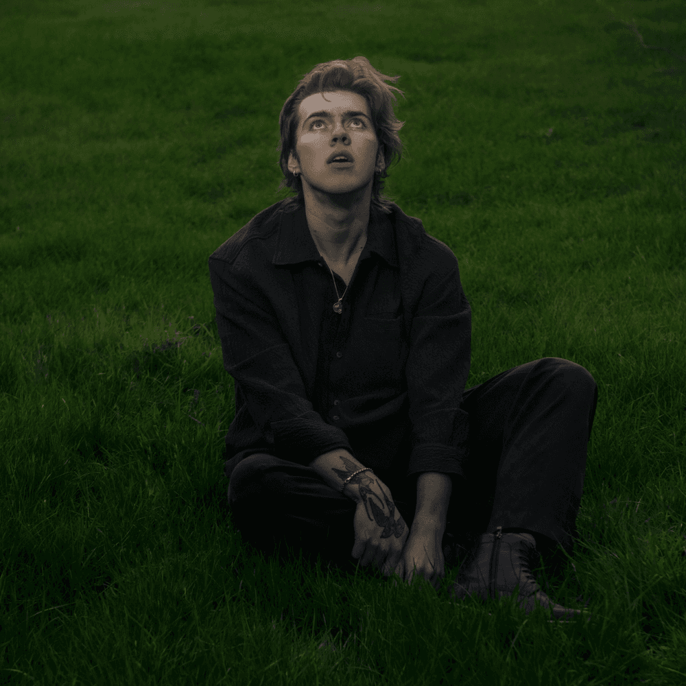 A Hometown Odyssey by Livingston
