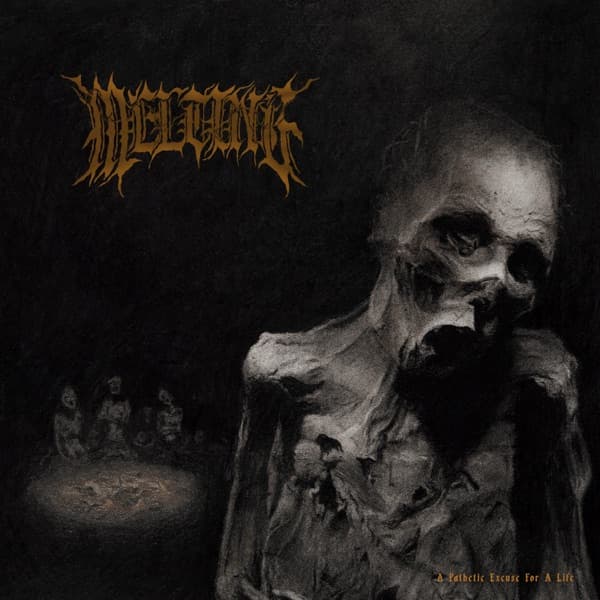 Melting - A Pathetic Excuse For A Life Melting - A Pathetic Excuse For A Life