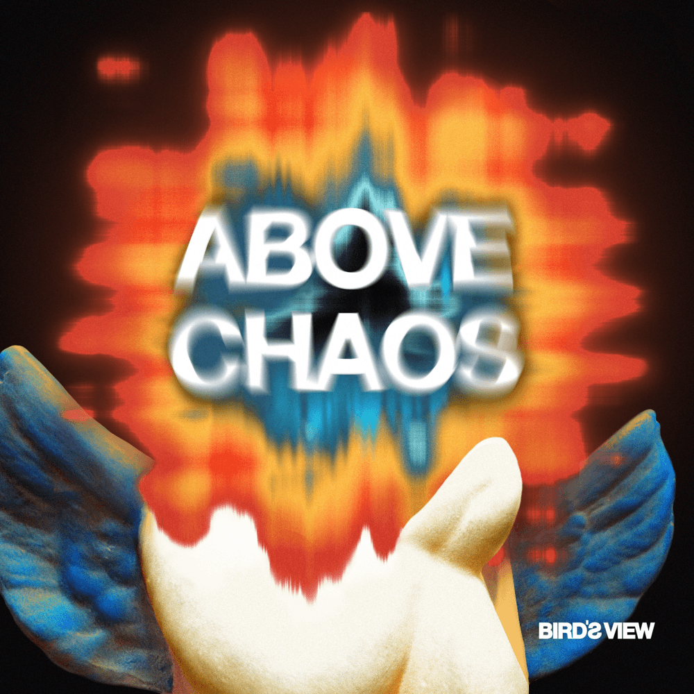 Bird's View - Above Chaos Bird's View - Above Chaos