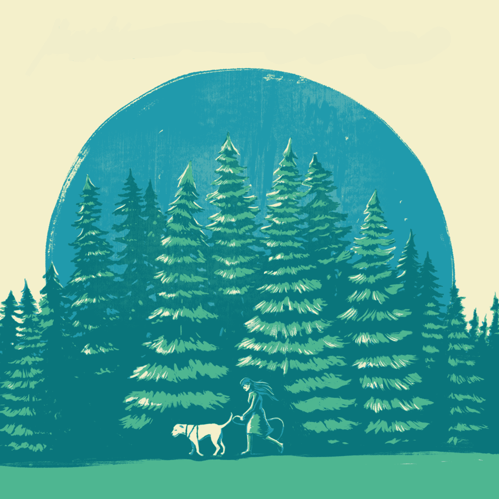 Suzie Ungerleider - Among The Evergreens