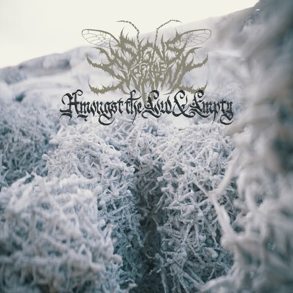Signs Of The Swarm - Amongst The Low & Empty Signs Of The Swarm - Amongst The Low & Empty