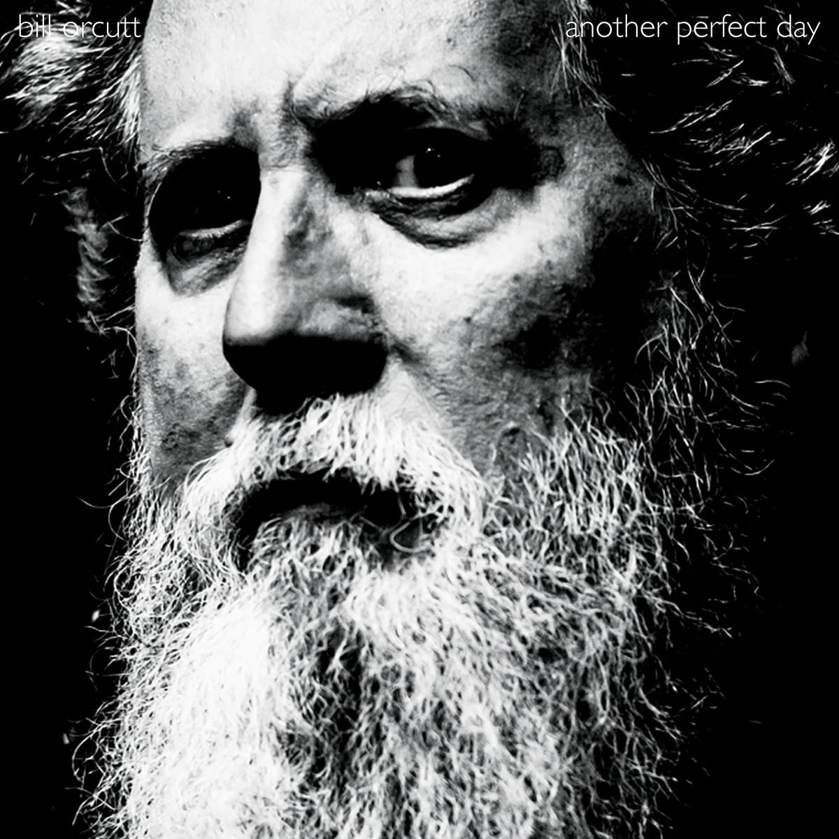 Bill Orcutt - Another Perfect Day Bill Orcutt - Another Perfect Day