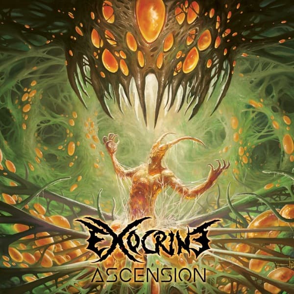 Exocrine - Ascension Exocrine - Ascension