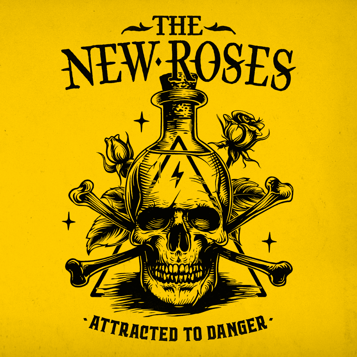 The New Roses - Attracted To Danger The New Roses - Attracted To Danger