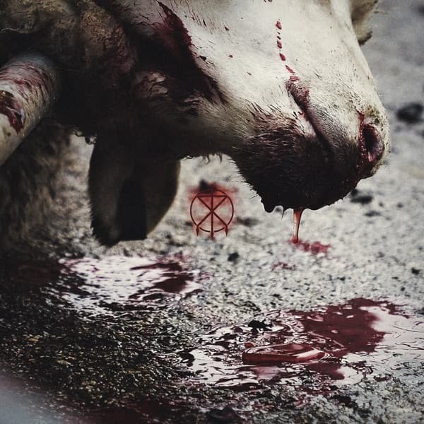To The Grave - Director's Cuts To The Grave - Director's Cuts