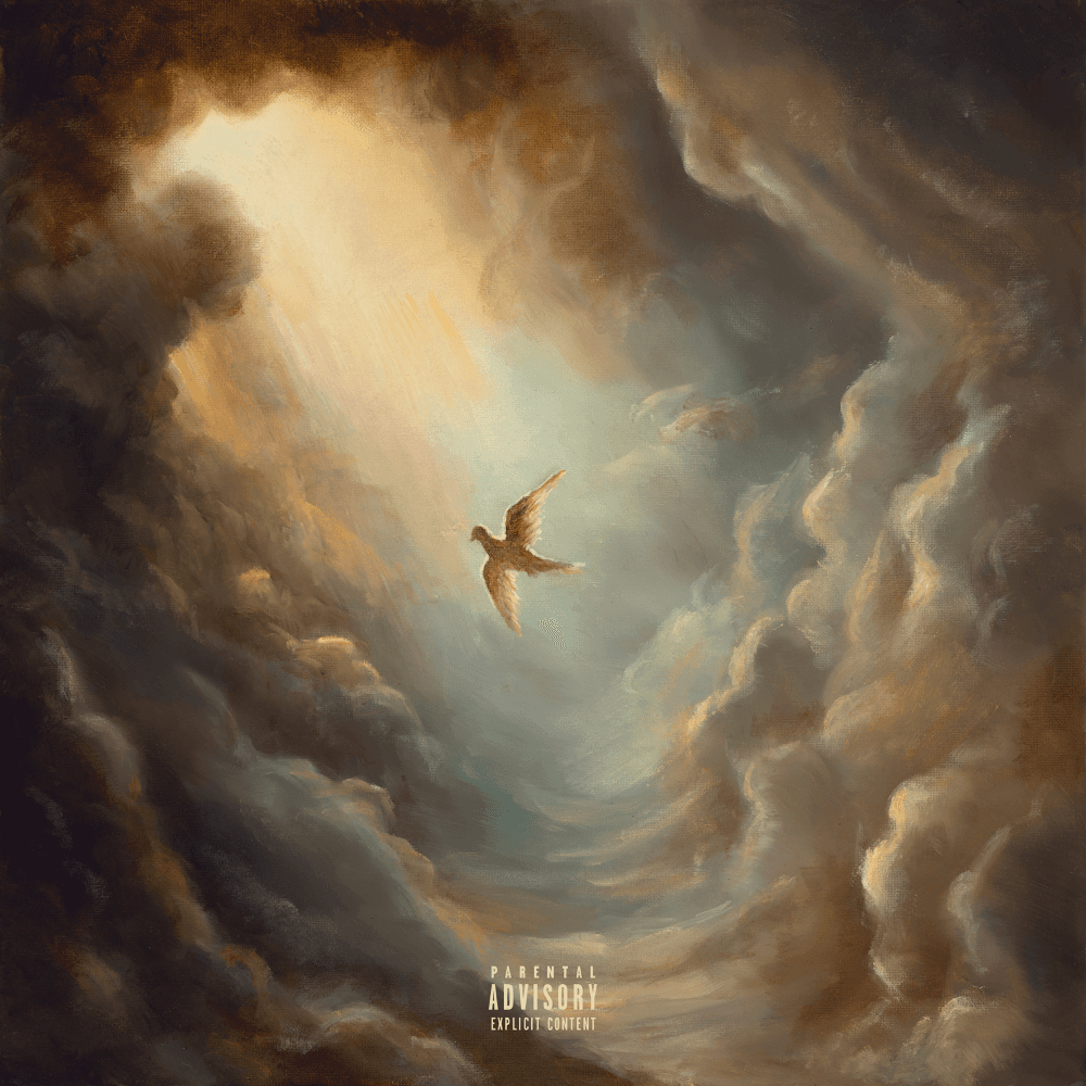 Aaryan Shah - Do You See The Birds, Too?