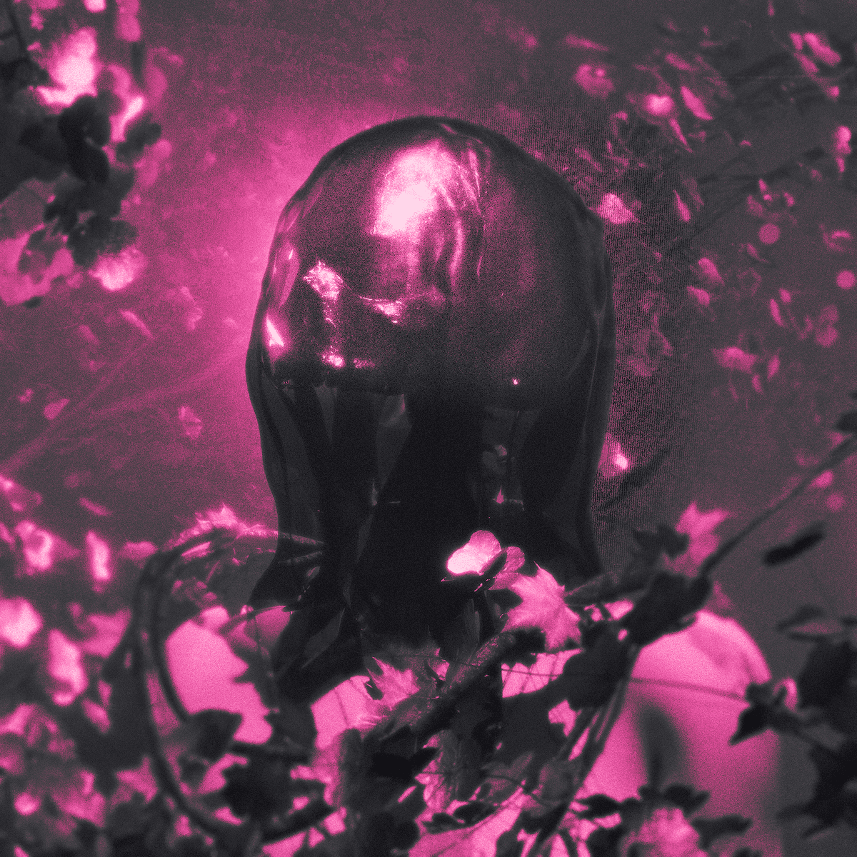 Pinknoise - Flesh And Bone