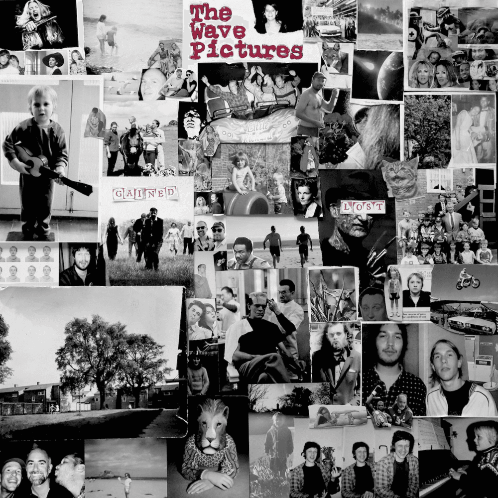The Wave Pictures - Gained / Lost The Wave Pictures - Gained / Lost
