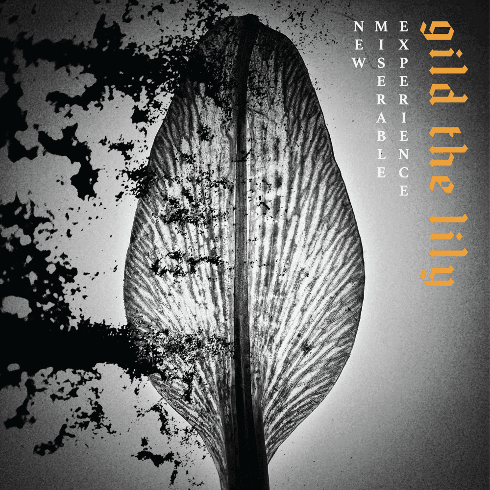 New Miserable Experience - Gild The Lily
