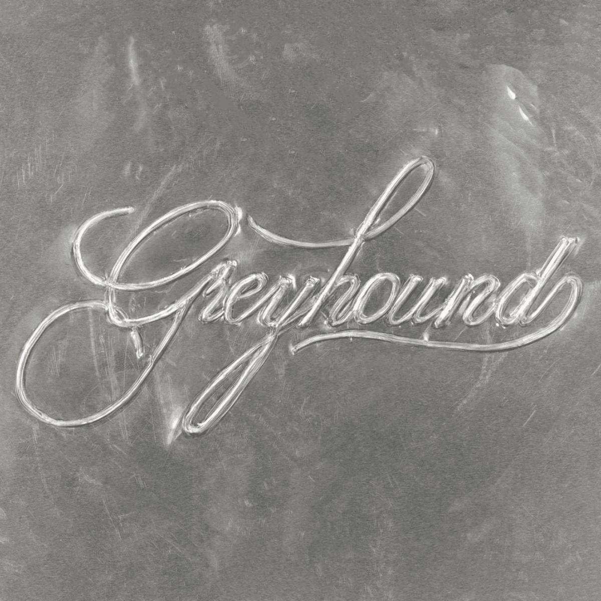 Katie Tupper - Greyhound