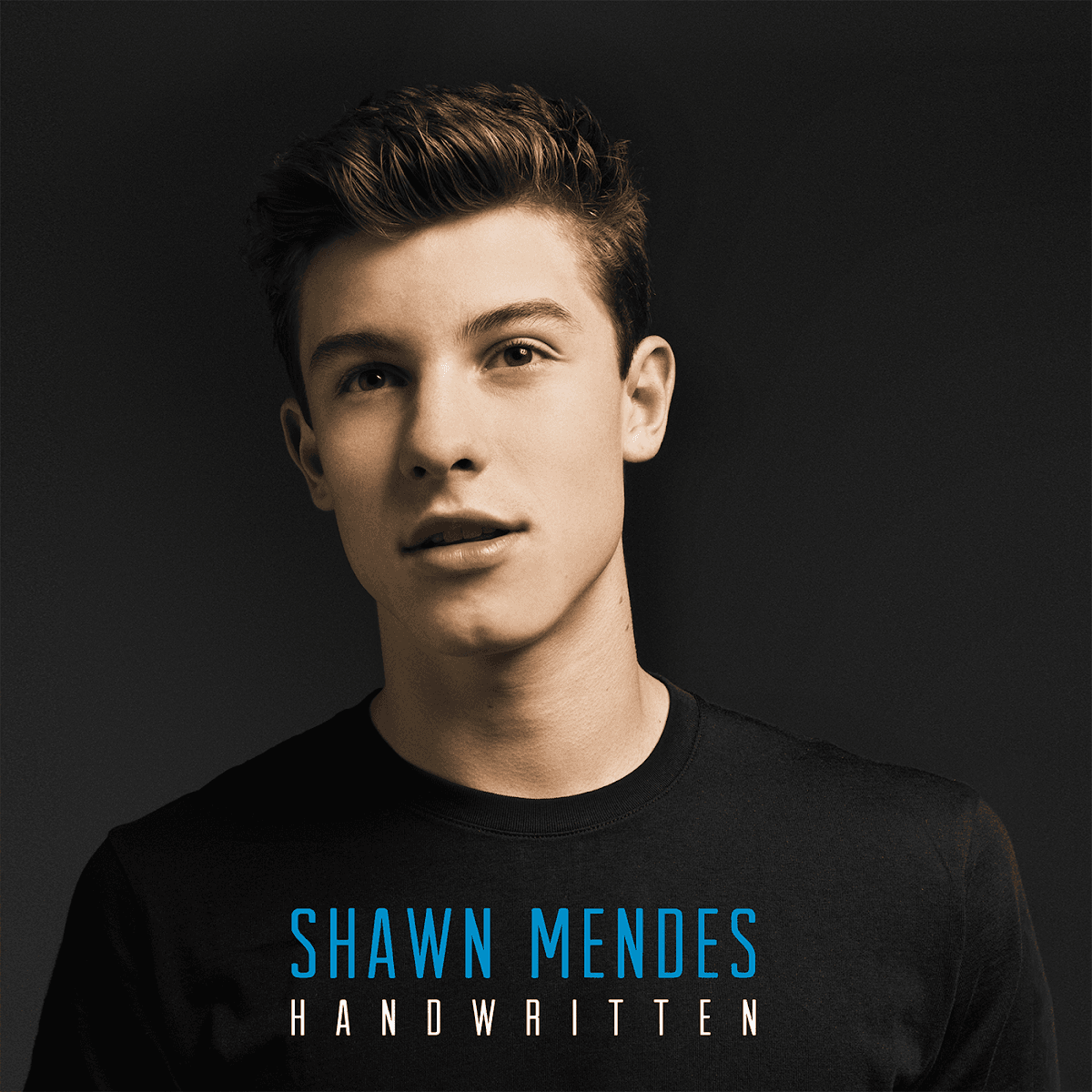 Shawn Mendes - Handwritten Shawn Mendes - Handwritten