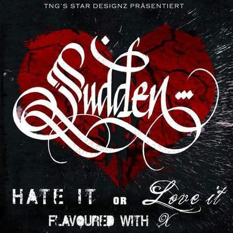 Sudden - Hate It Or Love It Sudden - Hate It Or Love It