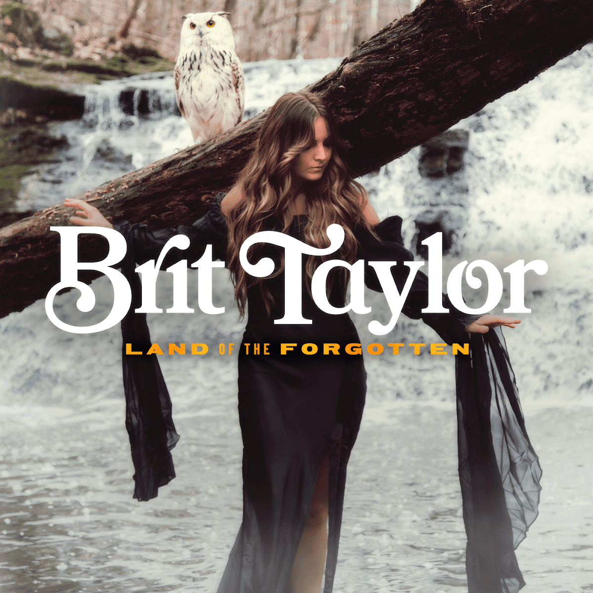 Brit Taylor - Land Of The Forgotten Brit Taylor - Land Of The Forgotten