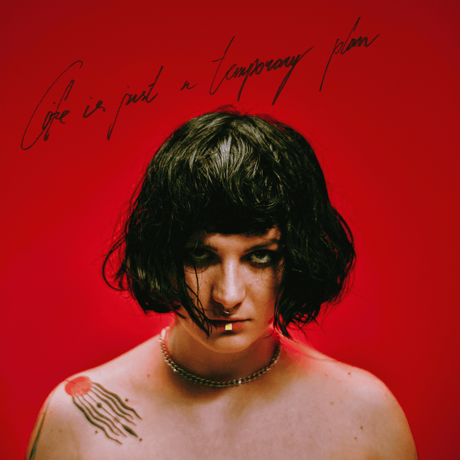 Abbie Falls - Life Is Just A Temporary Plan Abbie Falls - Life Is Just A Temporary Plan