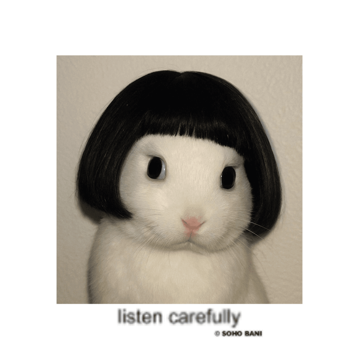 Soho Bani - Listen Carefully
