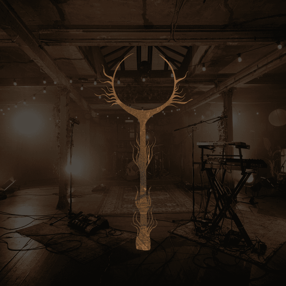 Dvne - Live At The Biscuit Factory