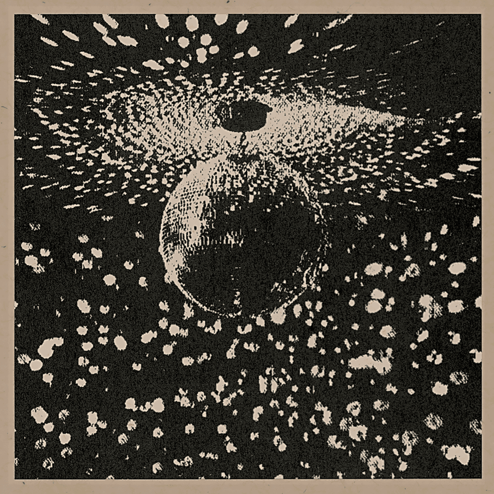 Neil Young - Mirror Ball Neil Young - Mirror Ball