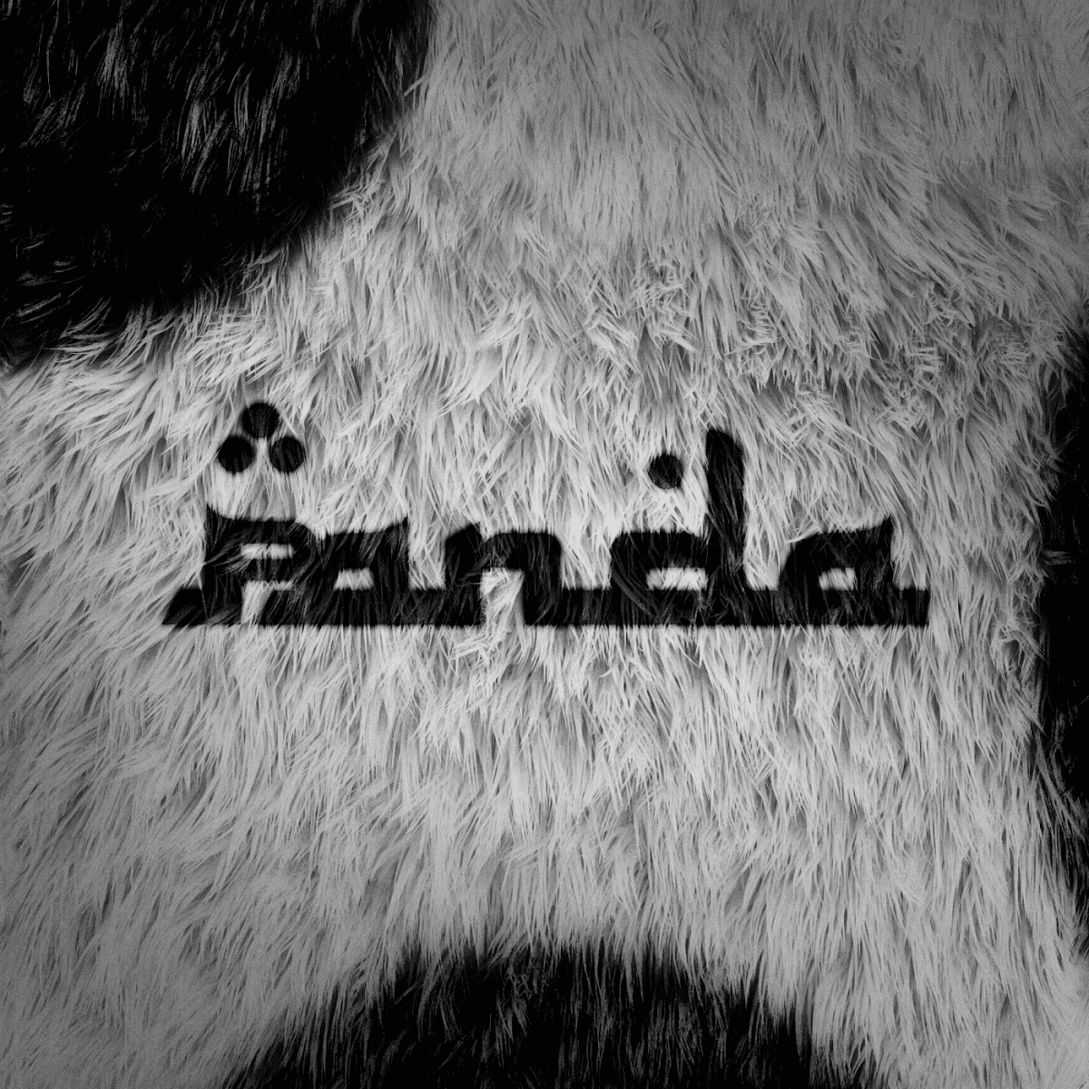 Casar - Panda Casar - Panda