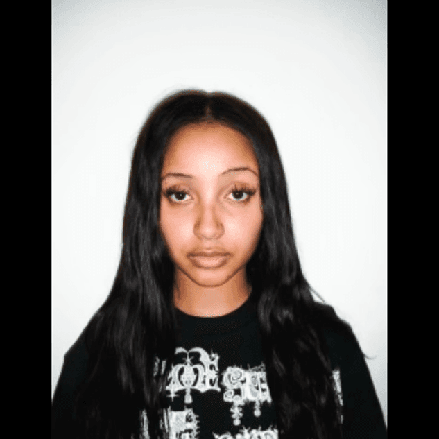 PinkPantheress - Take Me Home