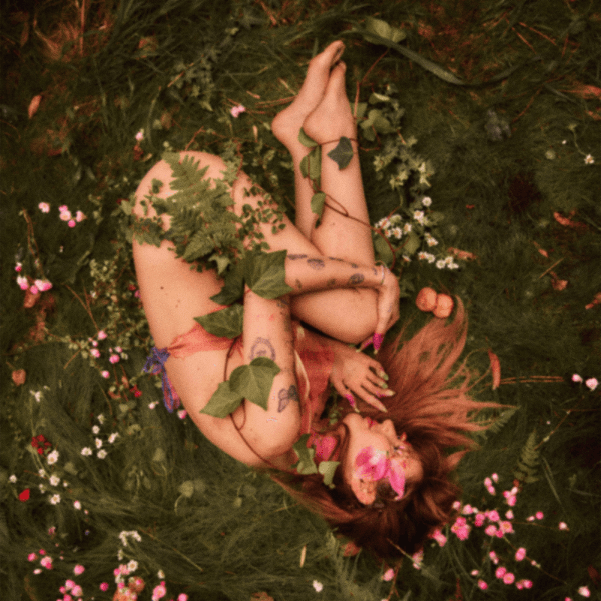 Peach PRC - Porcelain