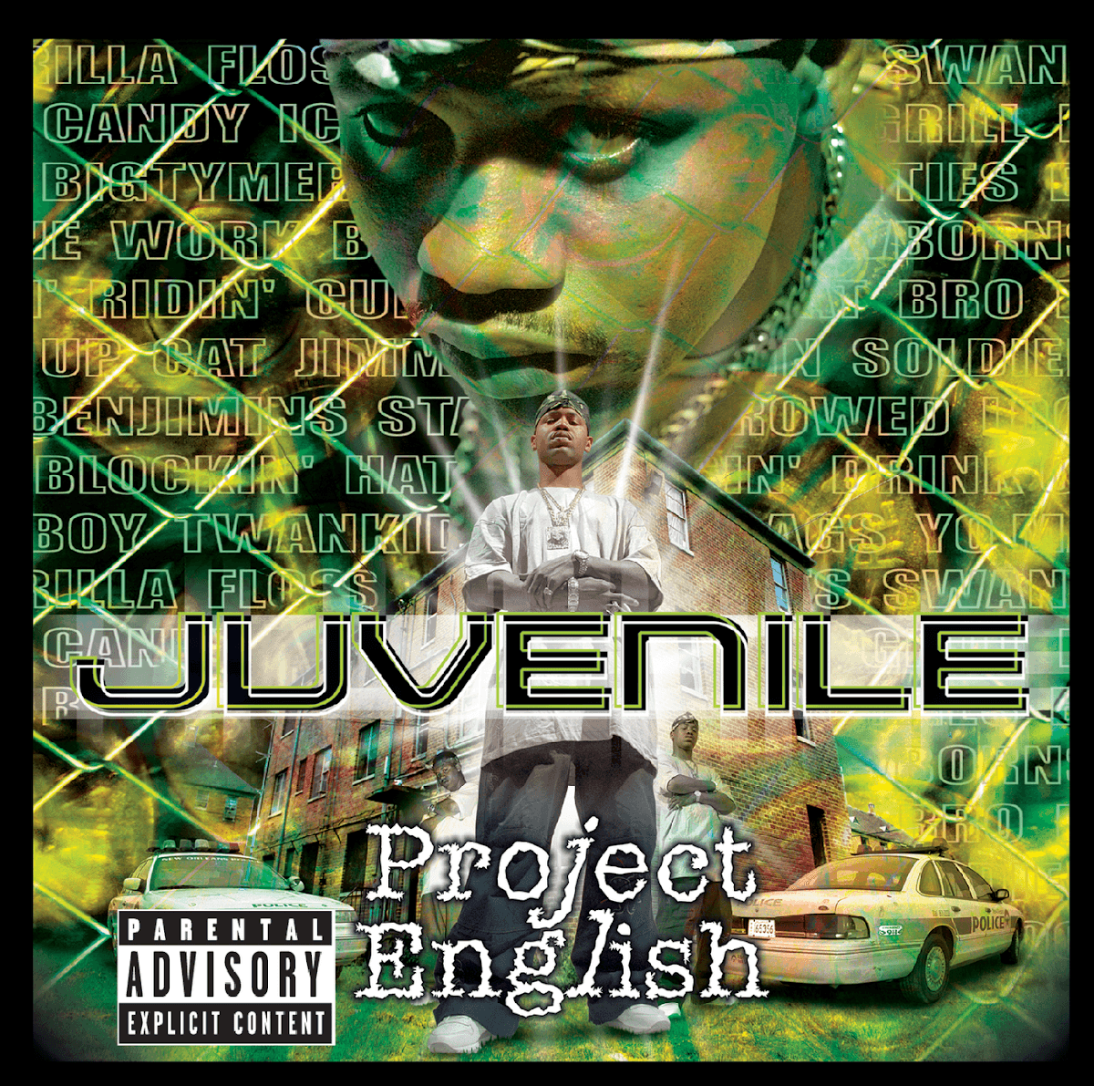 Juvenile - Project English Juvenile - Project English