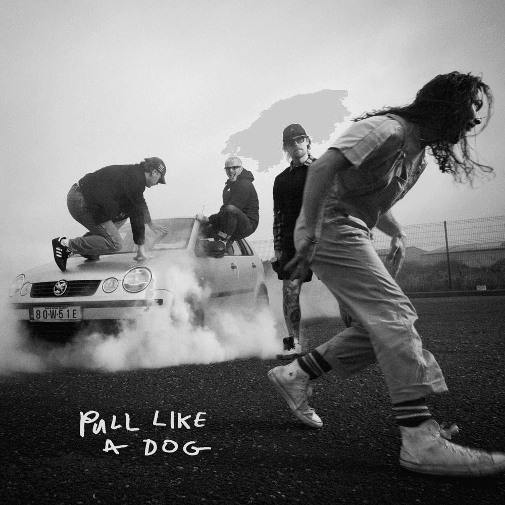 The Scratch - Pull Like A Dog