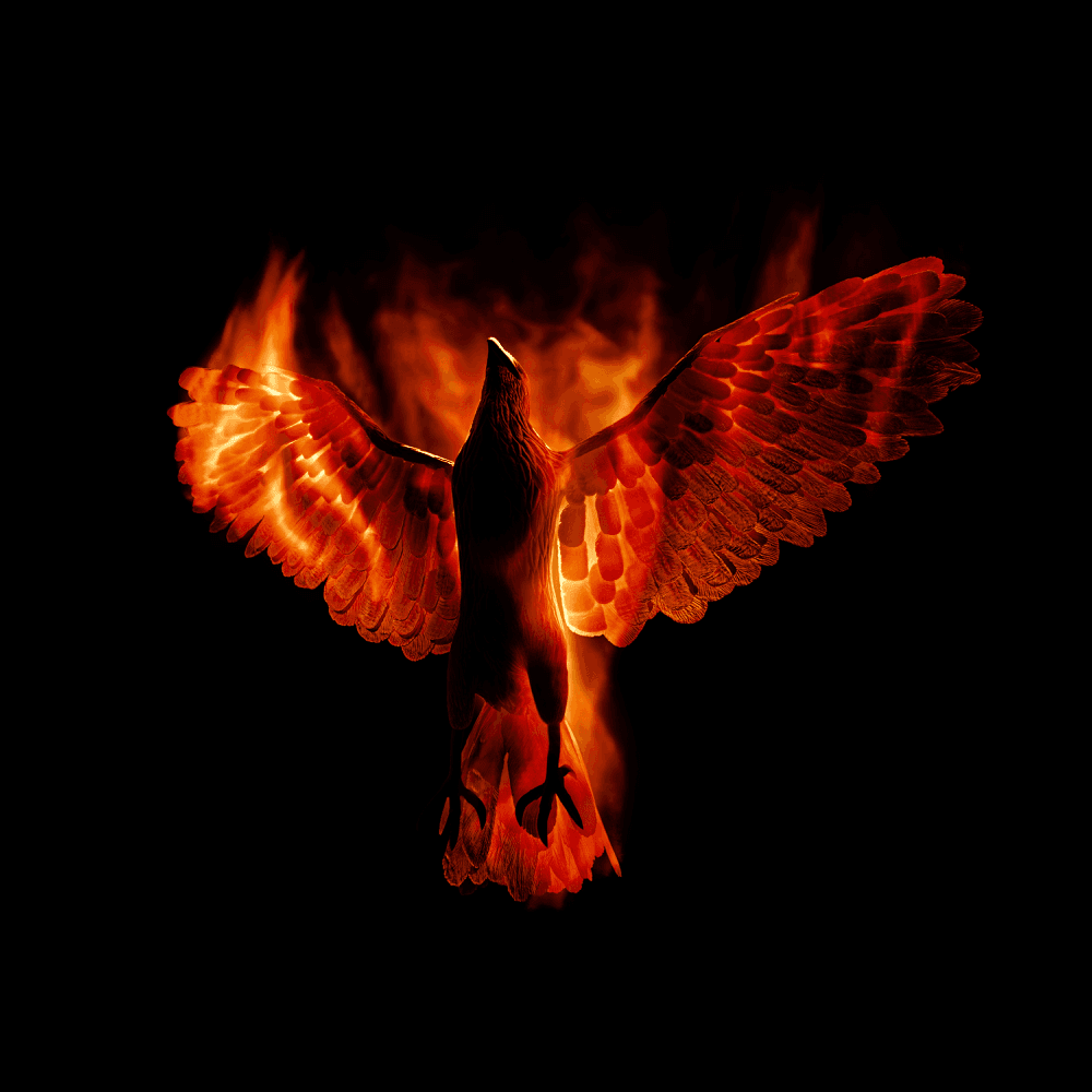 Data Luv - Reborn Data Luv - Reborn