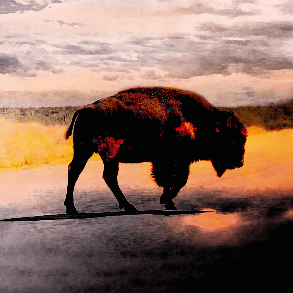 Robert Plant - Saving Grace Robert Plant - Saving Grace