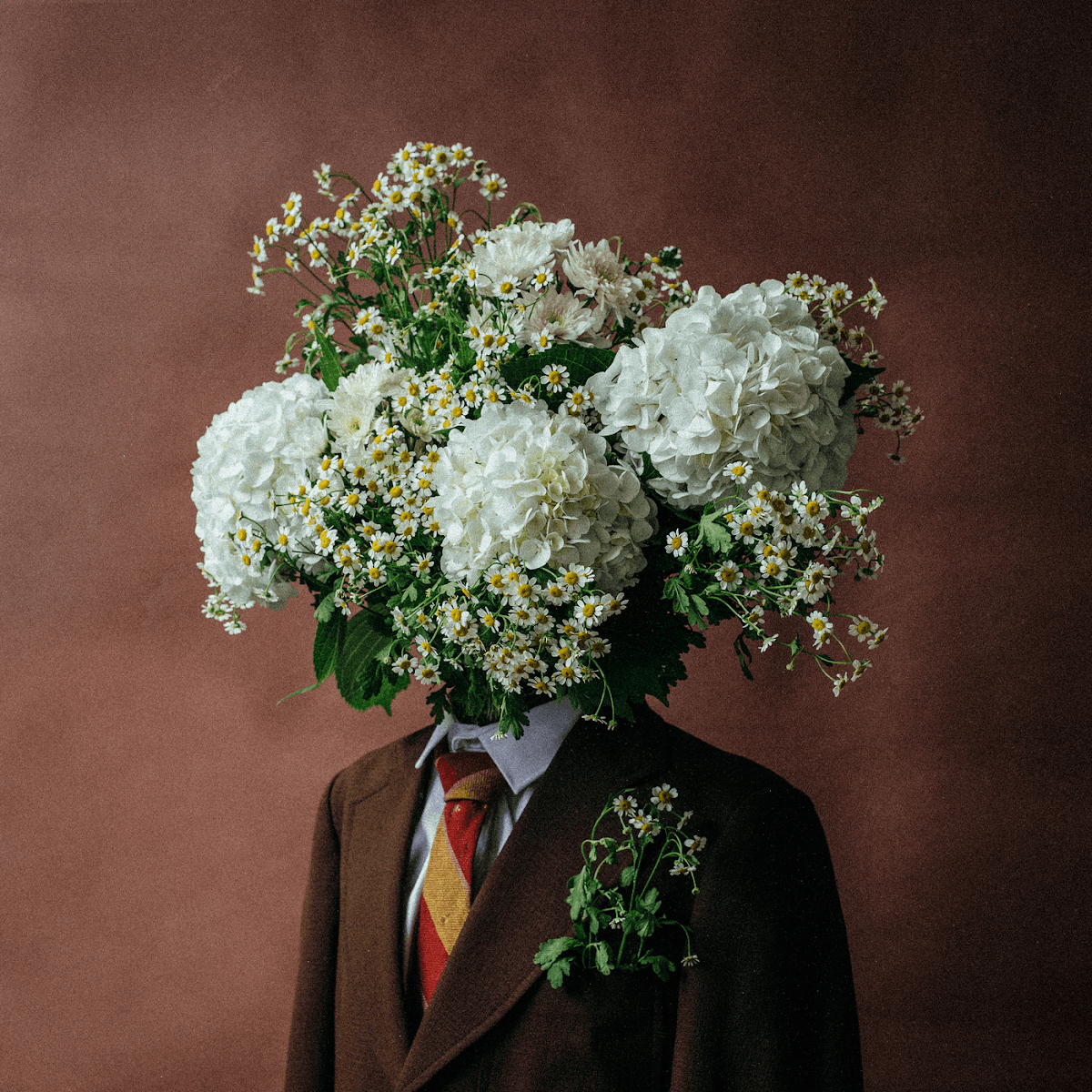 Daily J - Scatterbrains Daily J - Scatterbrains