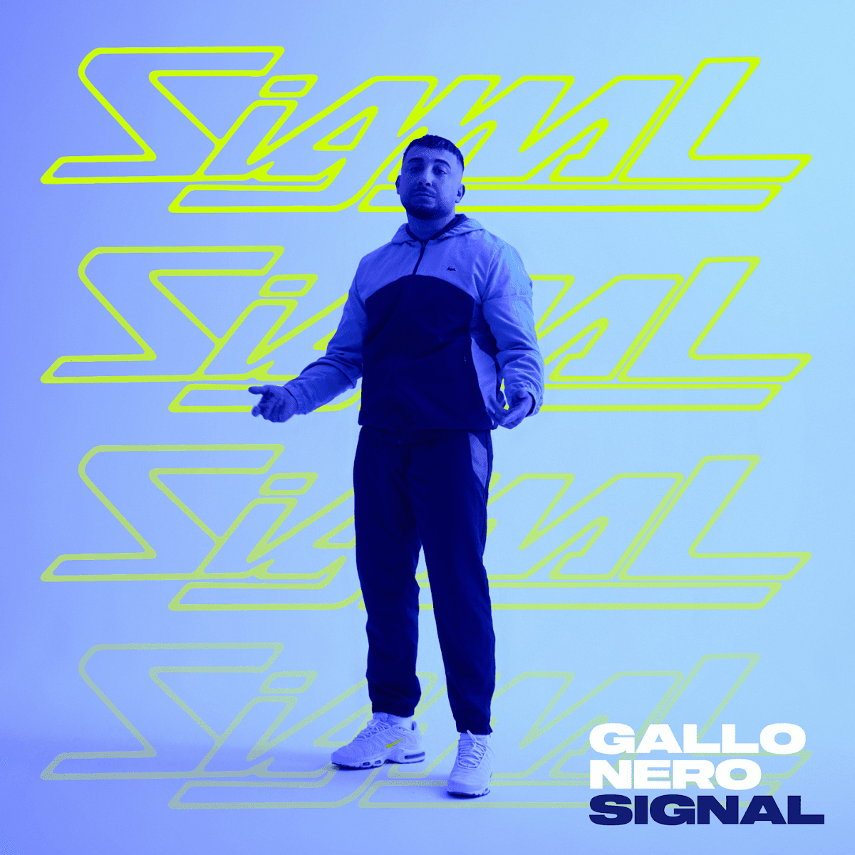 Gallo Nero - Signal