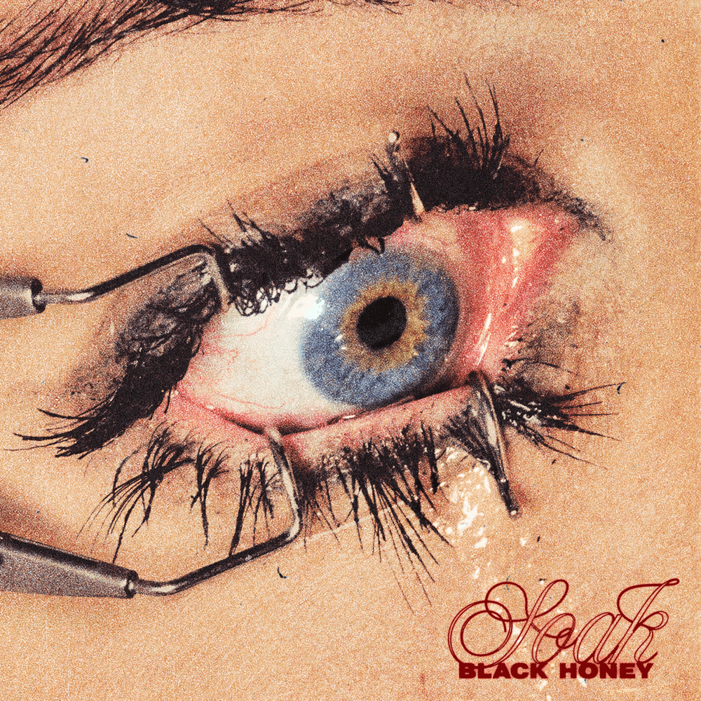 Black Honey - Soak Black Honey - Soak