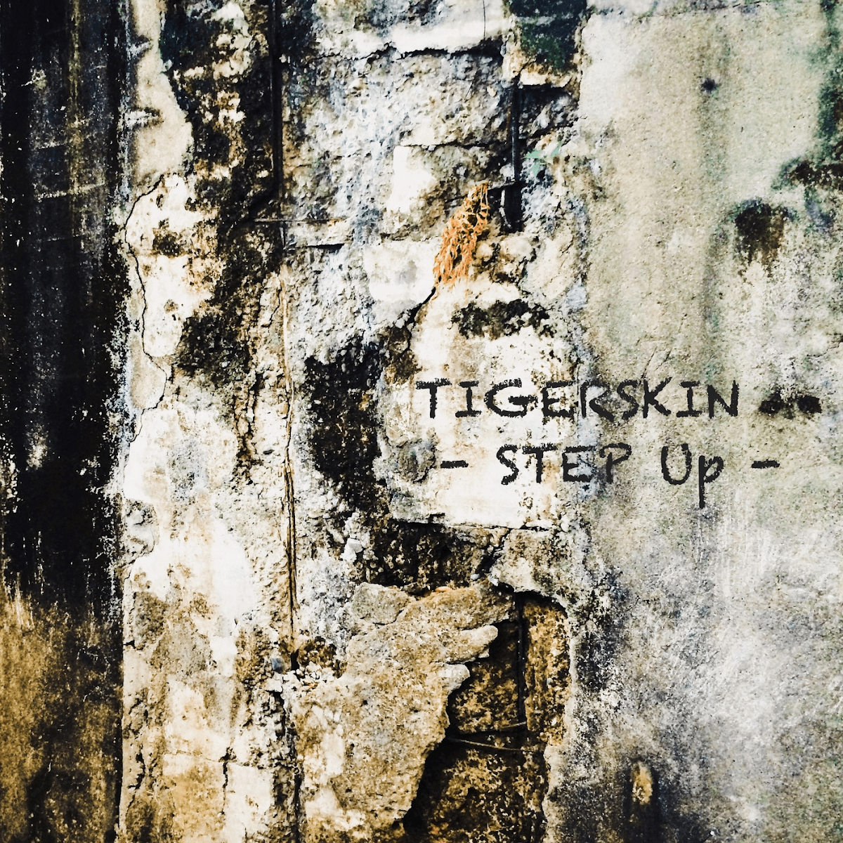 Tigerskin - Step Up