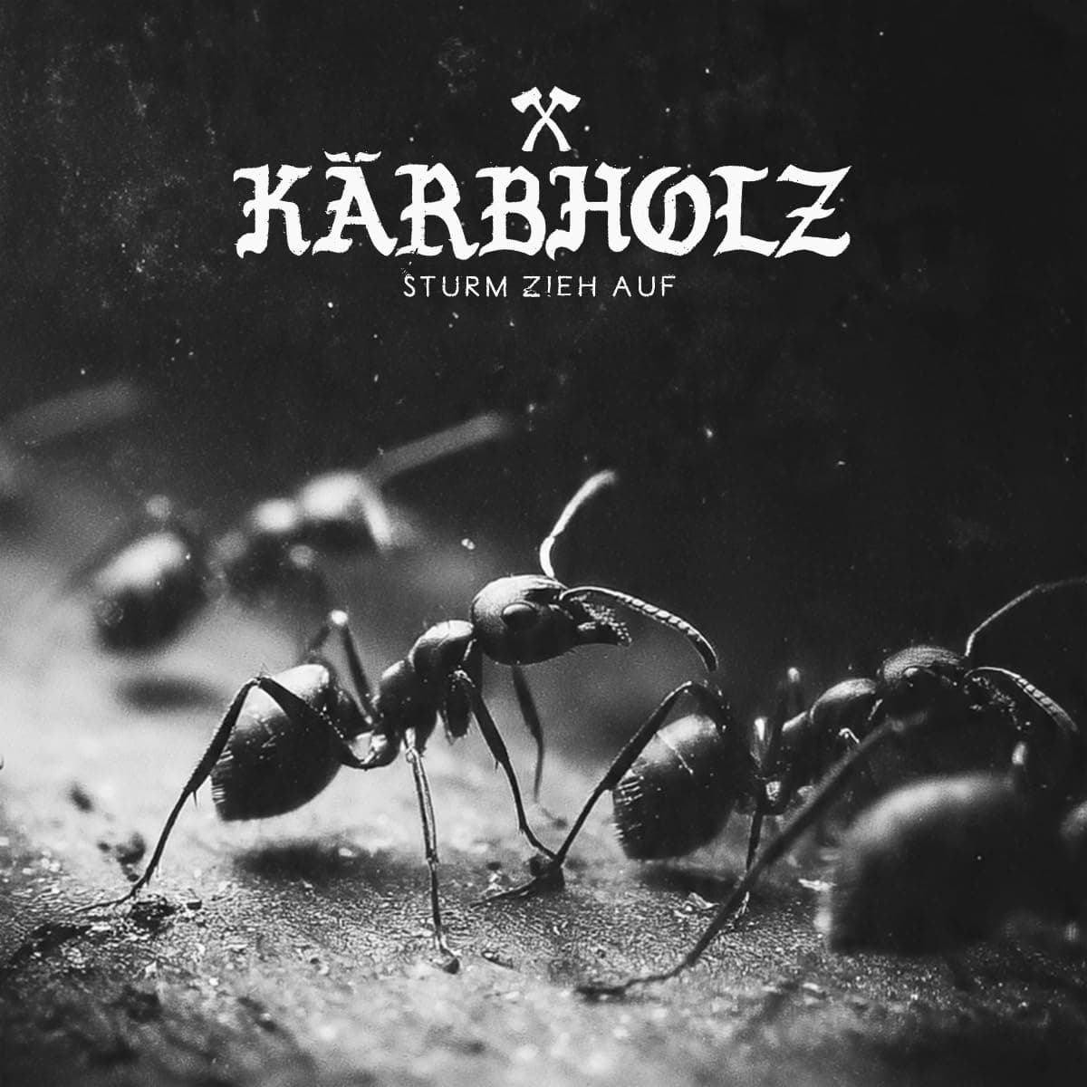 Kärbholz - Sturm zieh auf
