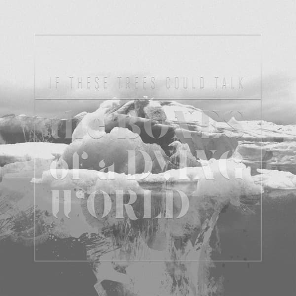 If These Trees Could Talk - The Bones Of A Dying World