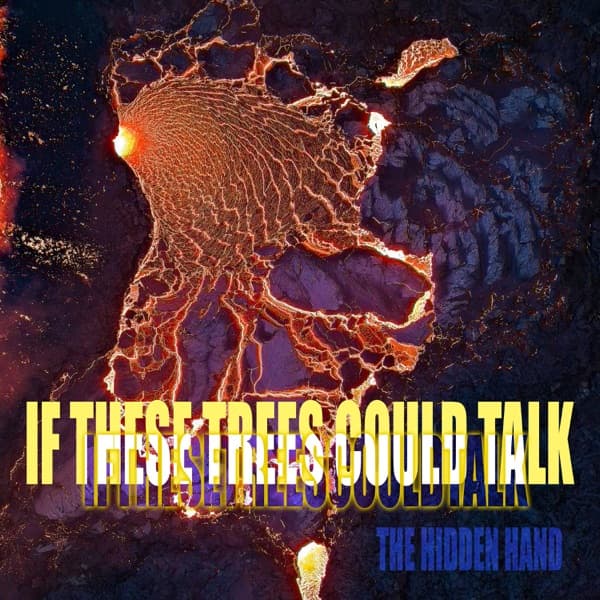 If These Trees Could Talk - The Hidden Hand If These Trees Could Talk - The Hidden Hand
