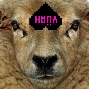 Sudden - Und mein nächstes Album kaufst du Sudden - Und mein nächstes Album kaufst du