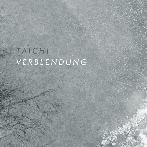 Taichi - Verblendung