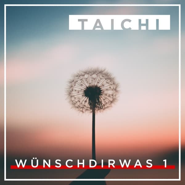 Taichi - Wünsch dir was 1 Taichi - Wünsch dir was 1