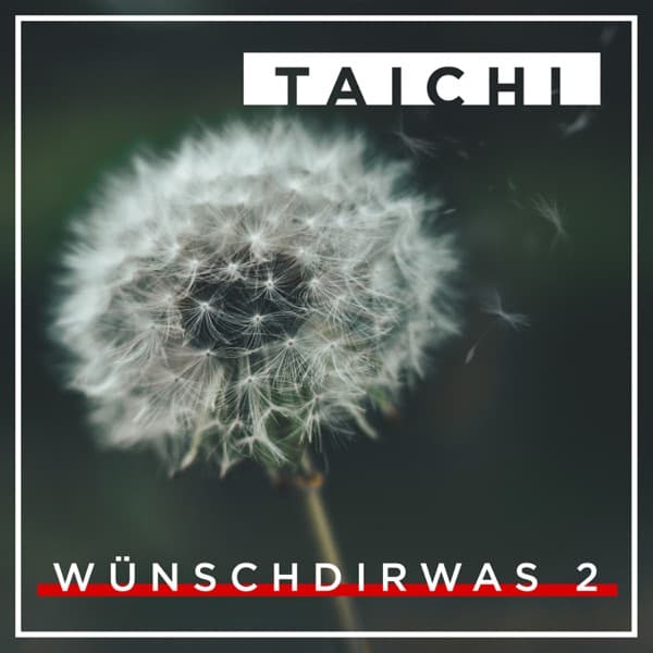 Taichi - Wünsch dir was 2 Taichi - Wünsch dir was 2