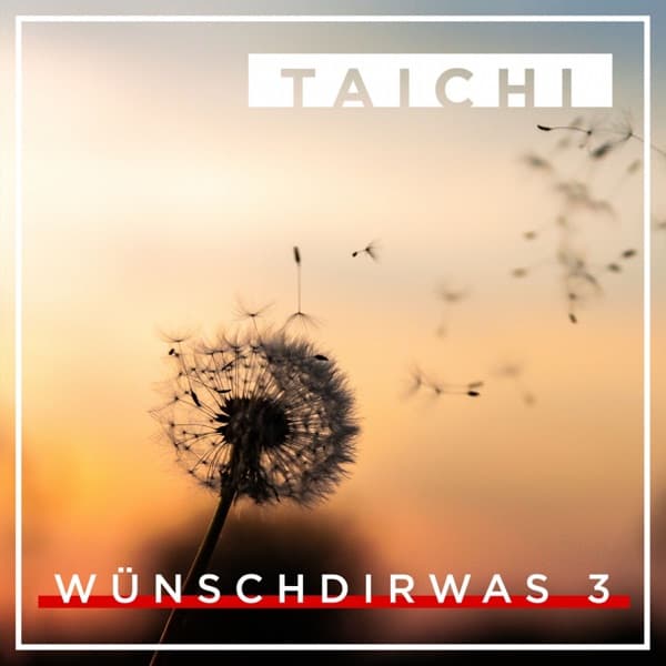 Taichi - Wünsch dir was 3 Taichi - Wünsch dir was 3