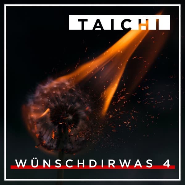 Taichi - Wünsch dir was Vol. 4 Taichi - Wünsch dir was Vol. 4
