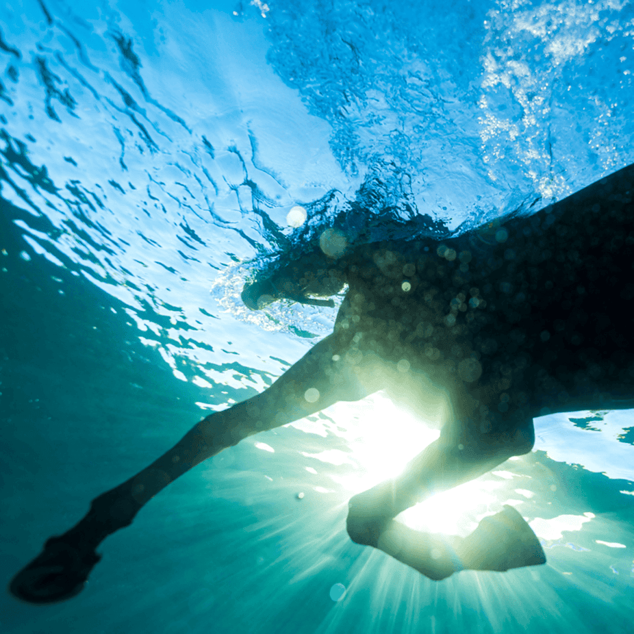 Dream Nails - You Wish Dream Nails - You Wish